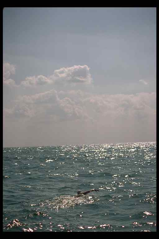 IMG0019 Sunil long stroke reach swim ocean sky light english channel.jpg